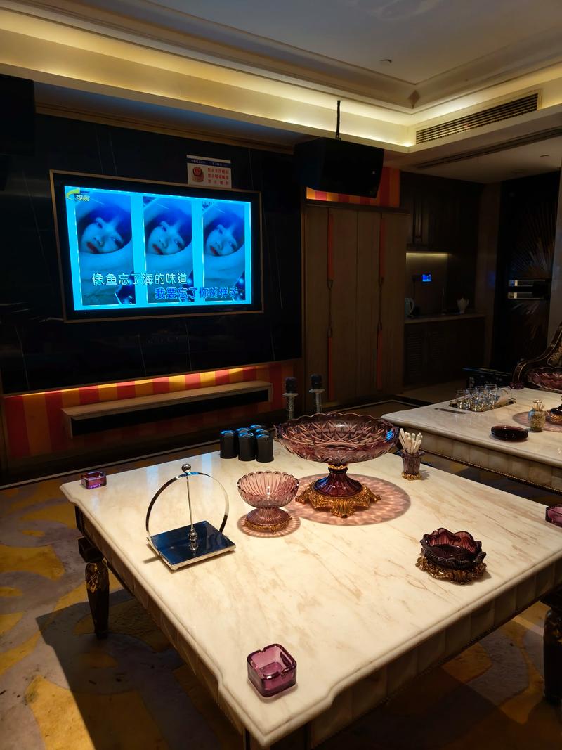 孝感商务KTV计费规则-孝南区ktv预订